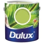 dulux farba kolory swiata puszka
