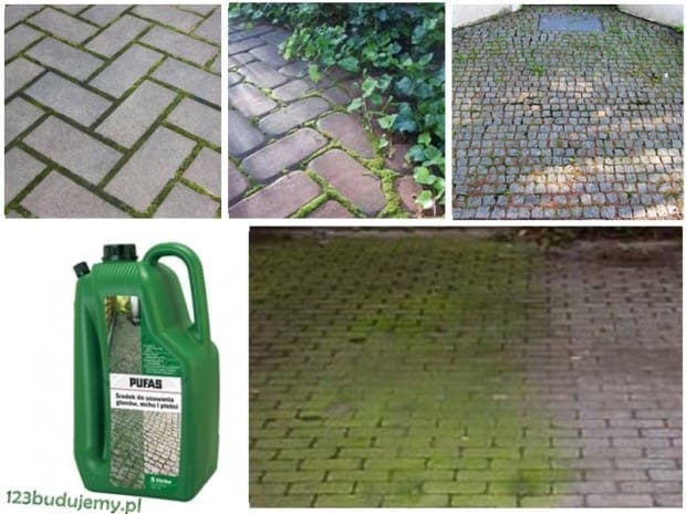 jaki środek na mech glony trawę bruk kostka