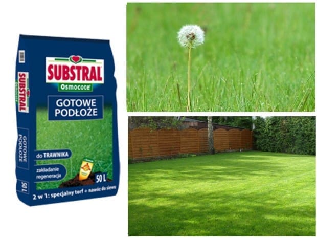 SUBSTAL-Gotowe-podłoże-do-trawnika