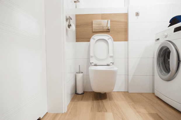 jaka-miska-wc