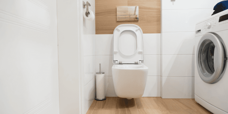 jaka-miska-wc