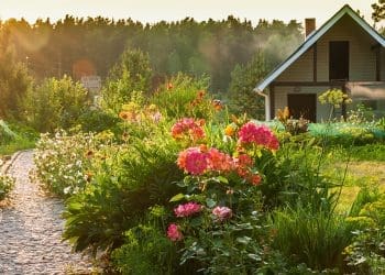 Zrównoważony ogród – nowy wymiar ekologii w ogrodnictwie