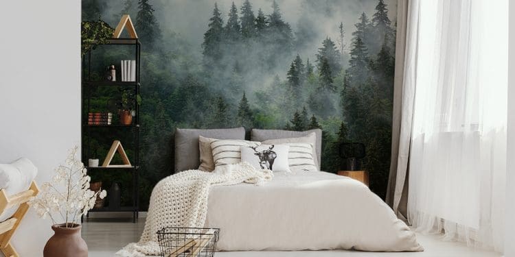 Fotoapeta las we mgle