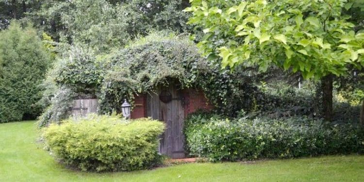 Przydomowa ziemianka