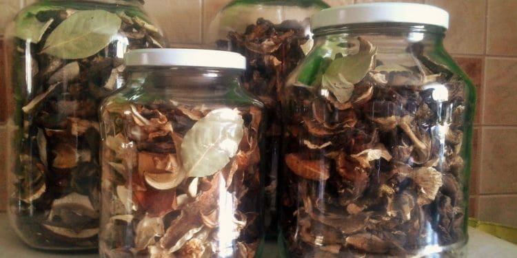 suszone grzyby w słoiku