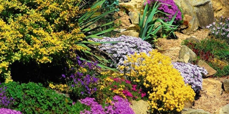 uprawa roślin w ogrodzie