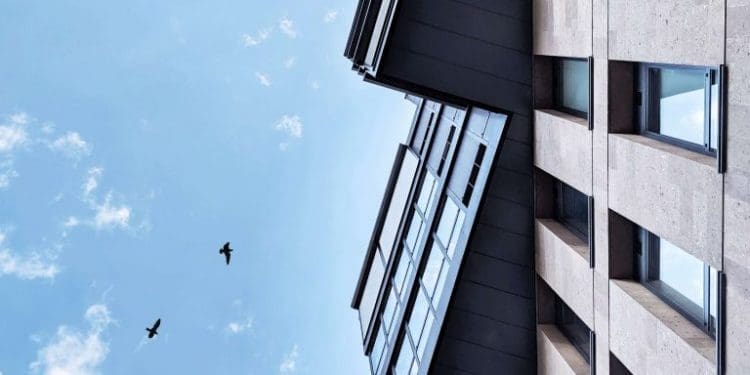 Kolizje ptaków z budynkami