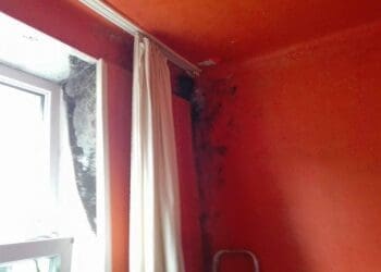 Pleśń na ścianie to nie dramat