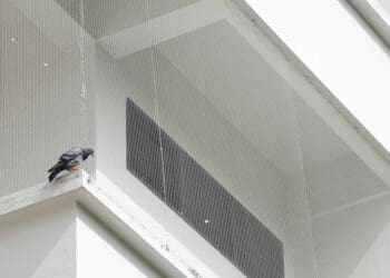 Masz dość gołębi na balkonie? Zamontuj wysokiej jakości siatkę!