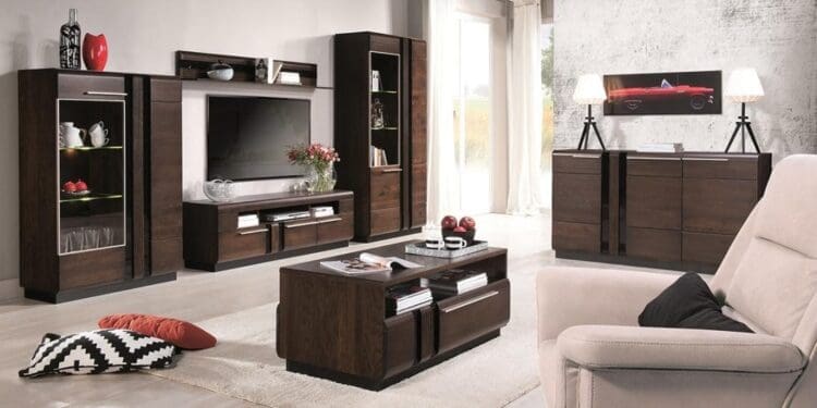 Meble Szynaka – jak stworzyć idealny salon dla całej rodziny?