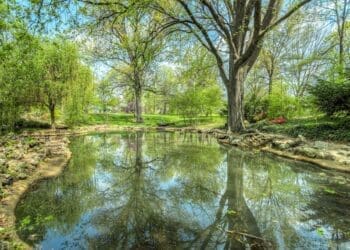 pompy zanurzeniowe staw