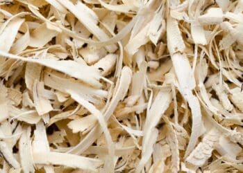 Sklejka – uniwersalny materiał o wielu zastosowaniach