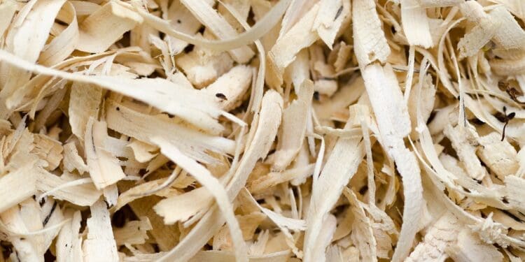 Sklejka – uniwersalny materiał o wielu zastosowaniach