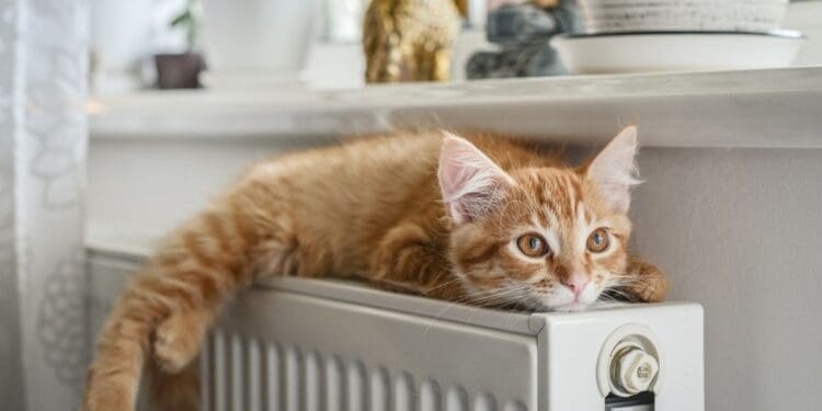 Rodzaje ogrzewania w domu