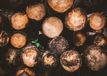 5 powodów, dla których warto wybrać drewno zamiast stali