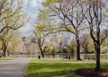 Kosze na śmieci w mieście – jakie są najlepsze rozwiązania?