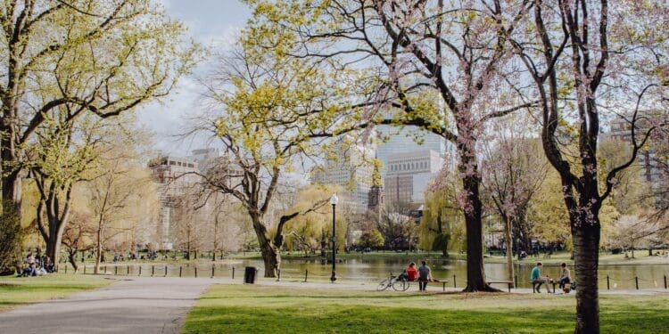 Kosze na śmieci w mieście – jakie są najlepsze rozwiązania?