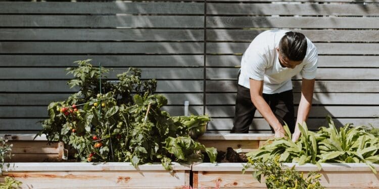 Jaki sprzęt przyda się przy pracach w ogrodzie? Sprawdź nożyce do żywopłotów!