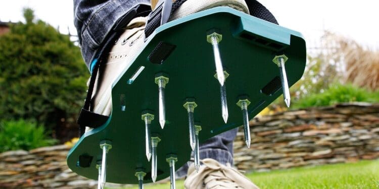 Napowietrzanie trawnika