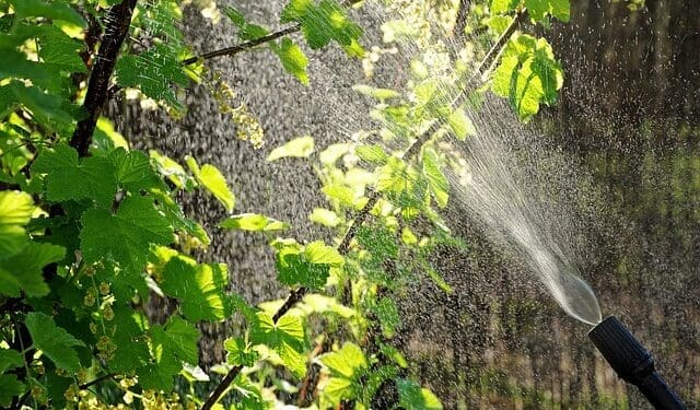 Mospilan – właściwości i zastosowanie