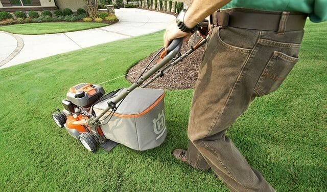 Oleje i smary do kosiarek - co warto o nich wiedzieć