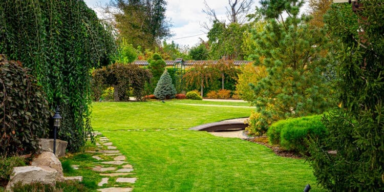 Poradnik dla początkującego ogrodnika! Sprawdź, co warto wiedzieć!