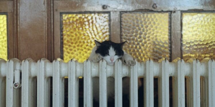 Grzejniki łazienkowe: jak wybrać najlepszy model dla swojego domu