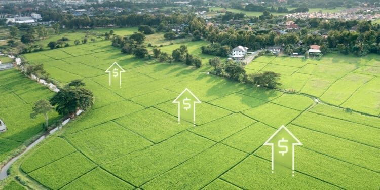 księga wieczysta działki