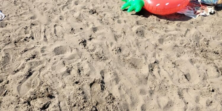 Akcesoria basenowe dla dzieci