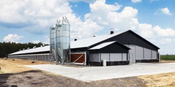 Nowoczesne hale dla rolnictwa
